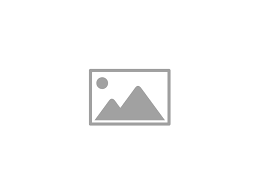 Sales Manager